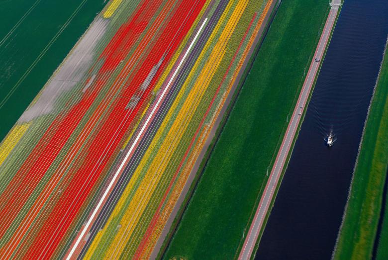 Công viên Keukenhof nằm ở thị trấn Lisse, cách thủ đô Amsterdam, Hà Lan khoảng 26 km về phía tây bắc.