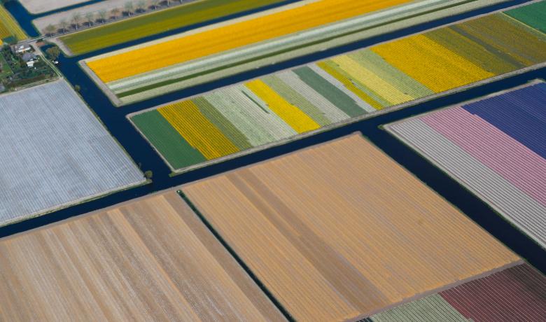 Đến với Keukenhof thời gian này, bạn sẽ có cảm giác như đang lạc vào thiên đường của màu sắc và hương thơm.