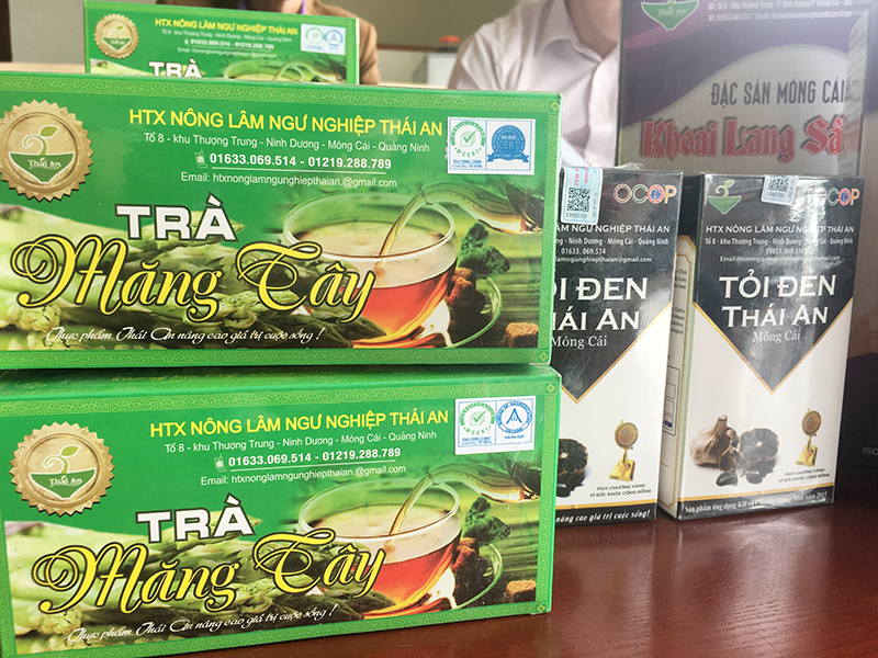 Sản phẩm trà măng tây, tỏi đen...của HTX Nông lâm ngư nghiệp Thái An tham gia tại hội chợ 