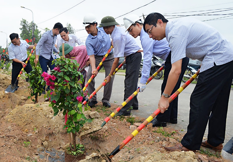 thành phố Uông Bí vừa quyết định trồng 1 triệu cây hoa giấy trên địa bàn