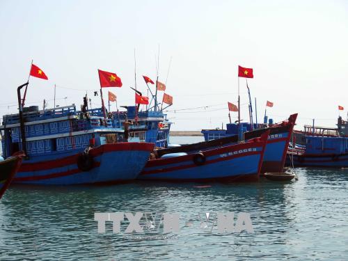 Lá cờ Tổ quốc tung bay trên những con tàu của ngư dân ở huyện đảo Lý Sơn, tỉnh Quảng Ngãi. Ảnh: Đỗ Trưởng/TTXVN