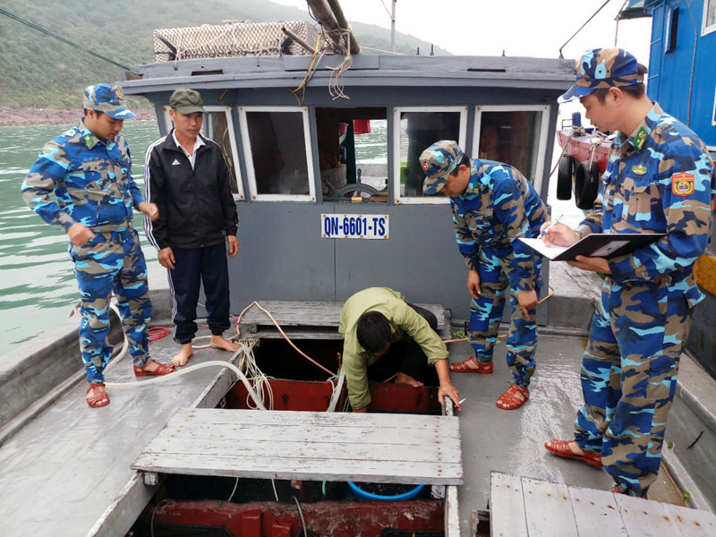 Hải đội 2 Biên phòng bắt giữ, xử lý vụ vận chuyển 7.000 con cá giò giống. Ảnh Sẻn Năm (Hải đội 2 Biên phòng)