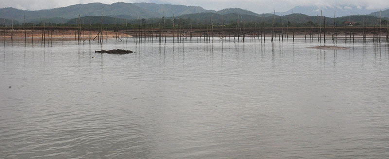 Nhiều vùng nuôi thủy sản ở xã Hải Tiến đang bị de dọa