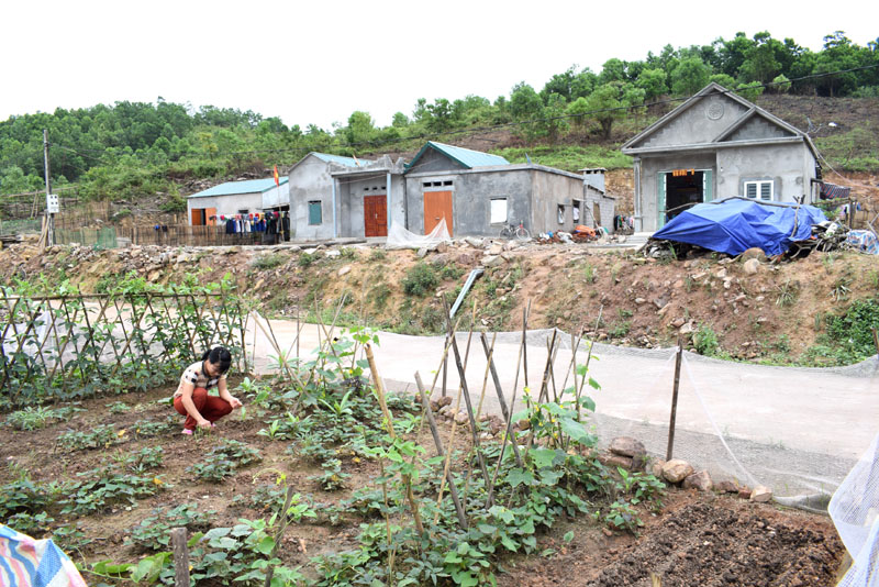 Nhiều người dân Khu tái đinh cư Quế Sơn tranh thủ tăng gia, nhưng chỉ là tạm bợ họ mong muốn có thêm đất để ổn định cuộc sống