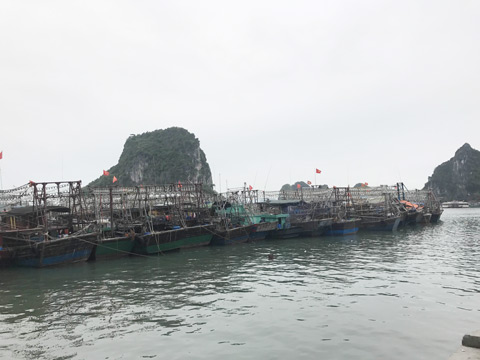 Rất nhiều tàu khai thác thủy sản neo đậu tại vùng mặt nước do Công ty TNHH Ka Long quản lý tiềm ân nguy cơ mất ATGT đường thủy nội địa cao 