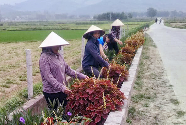 phụ nữ thôn 2, xã Quảng La chăm sóc hoa tại tuyến đường mẫu