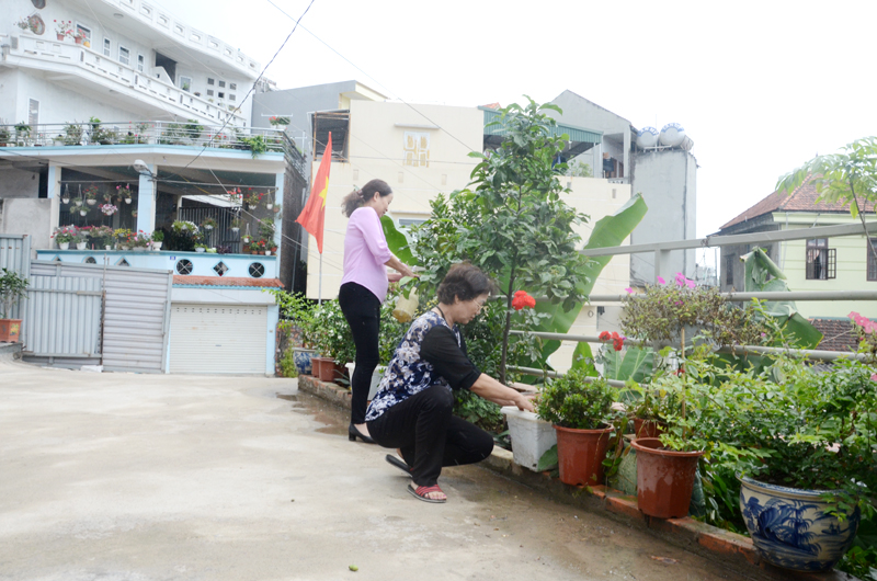 Chị em phụ nữ Khu 1B, phường Hồng Hải, TP Hạ Long trồng và chăm sóc hoa, cây xanh ở khu vực đất trống công cộng.