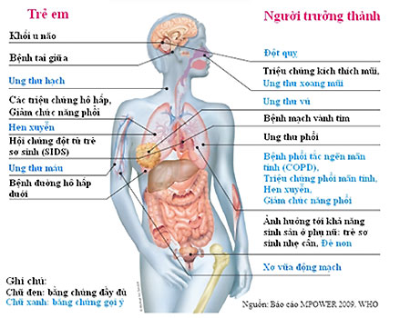 Các bệnh do hút thuốc thụ động. Nguồn: Tổ chức Y tế Thế giới.