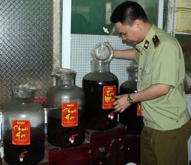 Lực lượng Quản lý thị trường kiểm tra rượu ngâm tại Nhà hàng gà Mạnh Hoạch, phường Minh Thành, TX Quảng Yên. Ảnh: Thuỳ Dương- TTTT-VH Quảng Yên.