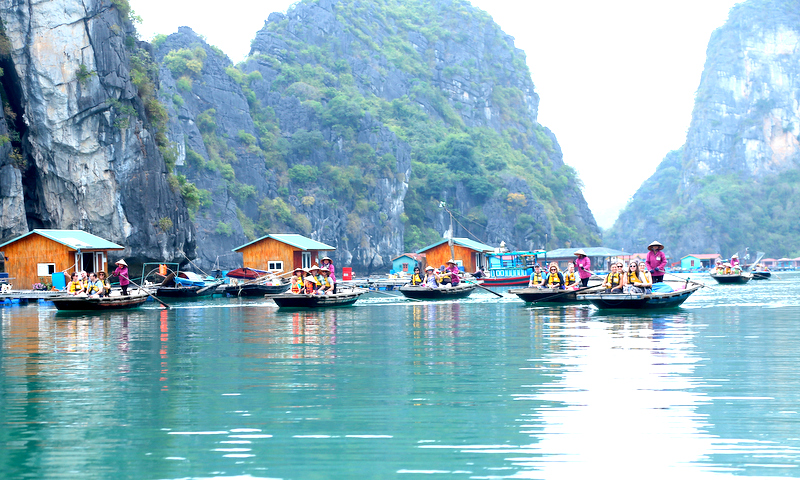 Thăm quan khu làng chài nuôi trồng thủy sản là một trong những sản phẩm du lịch mới đang ngày càng thu hút du khách, đặc biệt là khách quốc tế (Ảnh: HTX Vạn chài Hạ Long)