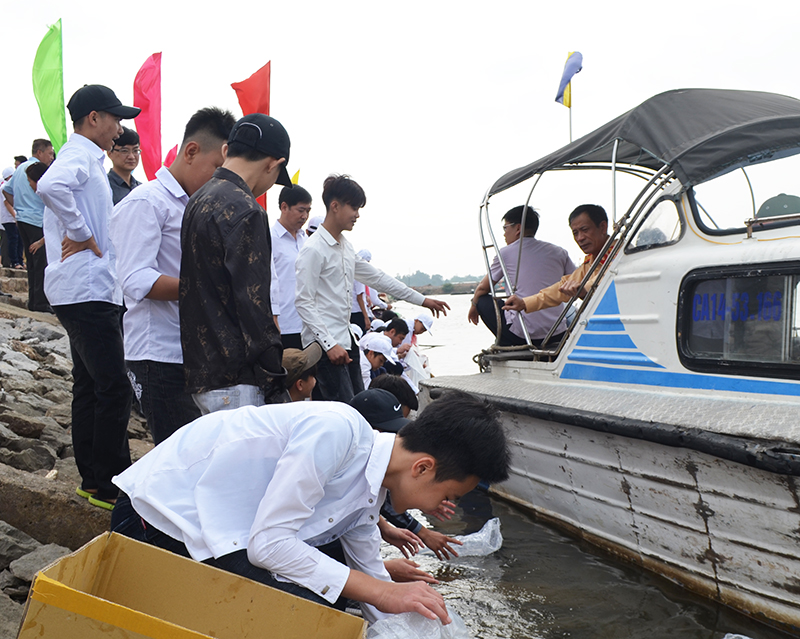 Học sinh phường Tân An, TX Quảng Yên tham gia thả giống thủy sản để tái tạo nguồn