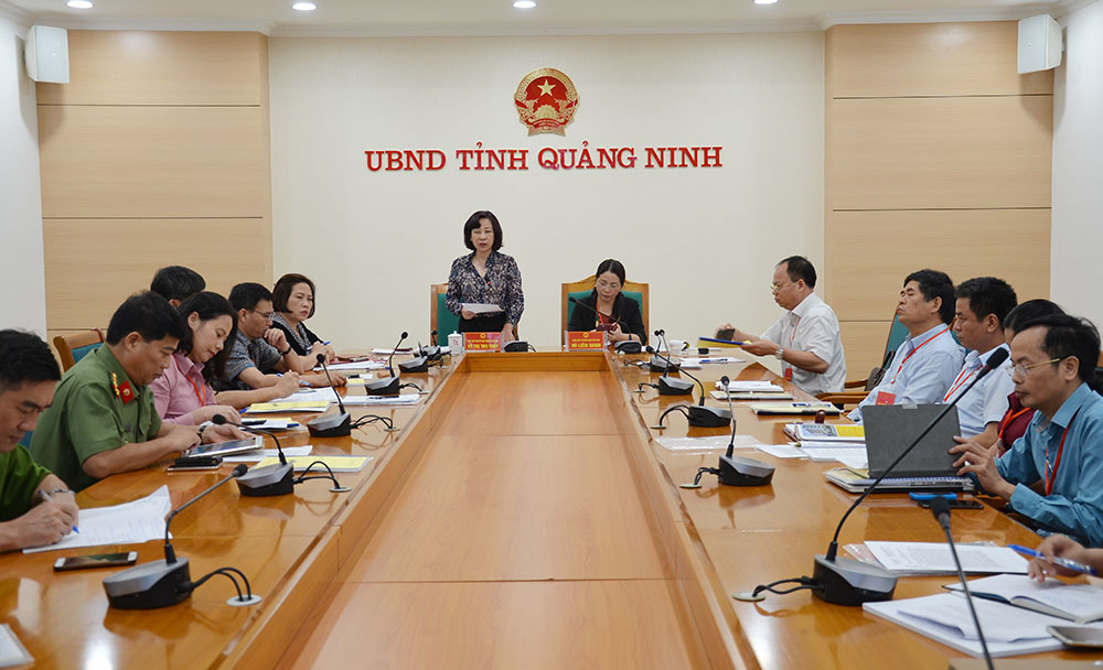 Đồng chí Vũ Thị Thu Thủy, Phó Chủ tịch UBND tỉnh phát biểu kết luận tại cuộc họp