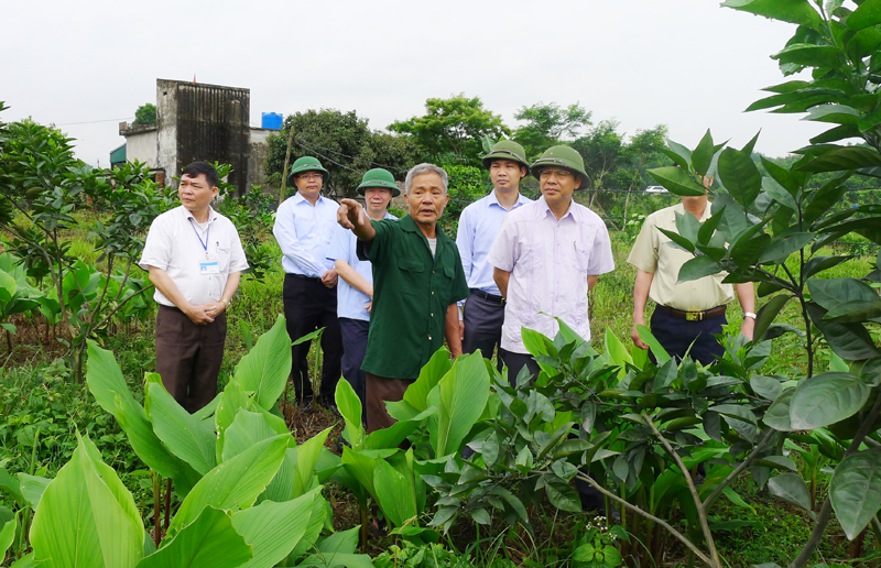 Đồng chí Phó Chủ tịch Thường trực UBND tỉnh kiểm tra mô hình trang trại của gia đình ông Nguyễn Văn Tĩnh, xã Dương Huy