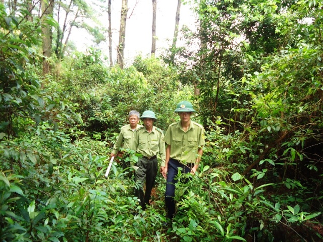 Lực lượng kiểm lâm tuần tra bảo vệ rừng (Ảnh: ML)