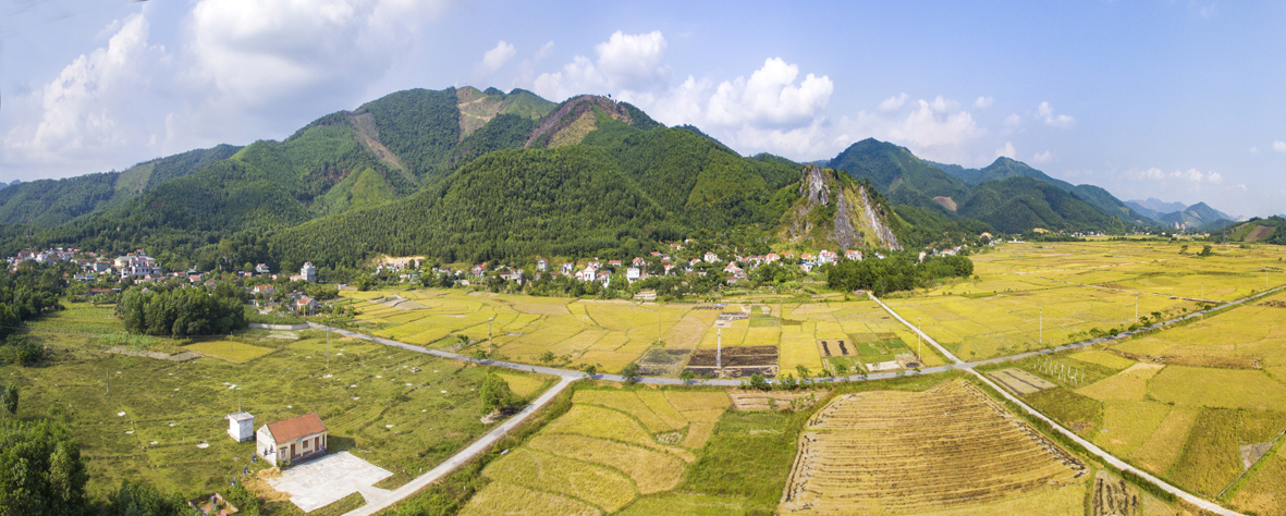 Khu cánh đồng sản xuất tập trung nông thôn mới xã Quảng La.