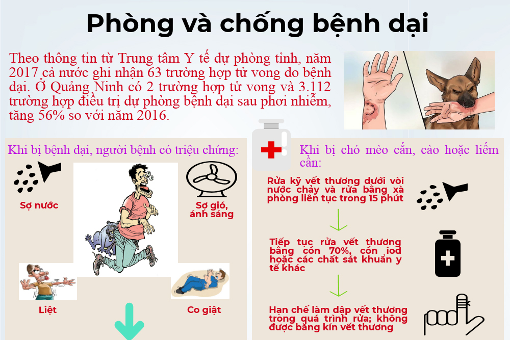 Bệnh dại và cách phòng tránh