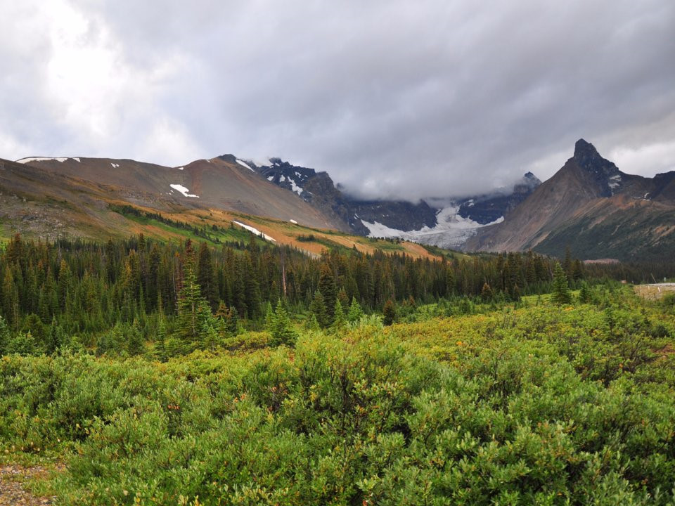 Cách đó vài km về phía Bắc, Vườn Quốc gia Jasper cung cấp địa điểm lý tưởng để dã ngoại, cắm trại với khu vực rộng hơn 10,3 km còn giữ được vẻ đẹp hoang dã, nguyên sơ.