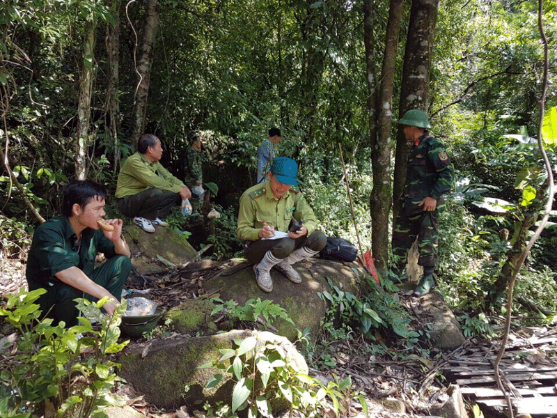 Hiện nay, tỷ lệ che phủ rừng trên địa bàn huyện Hải Hà đạt 61%, trong đó diện tích rừng phòng hộ đầu nguồn được bảo vệ nghiêm ngặt, không còn tình trạng chặt phá rừng.