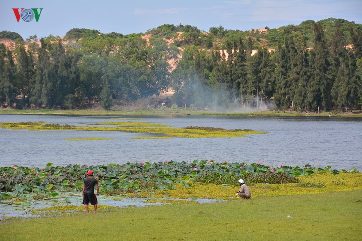   Nếu đã thấm mệt, các gia đình có thể cùng nhau câu cá, nghỉ ngơi, thưởng thức những món ăn của vùng đất Bình Thuận, dân dã mà đậm đà khó quên.