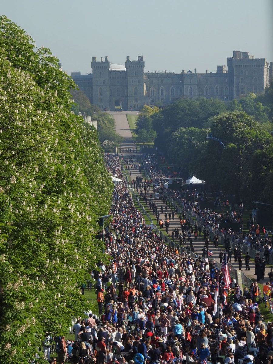 Đám đông tụ họp ở bên ngoài Lâu đài Windsor đợi Hoàng tử Harry và vợ đi qua.