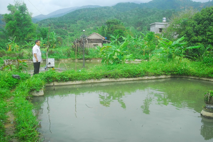 Mô hình nuôi cá trắm cỏ của Bí thư chi bộ kiêm trưởng thôn Chang Chiếm Chu Tiến Sàu.