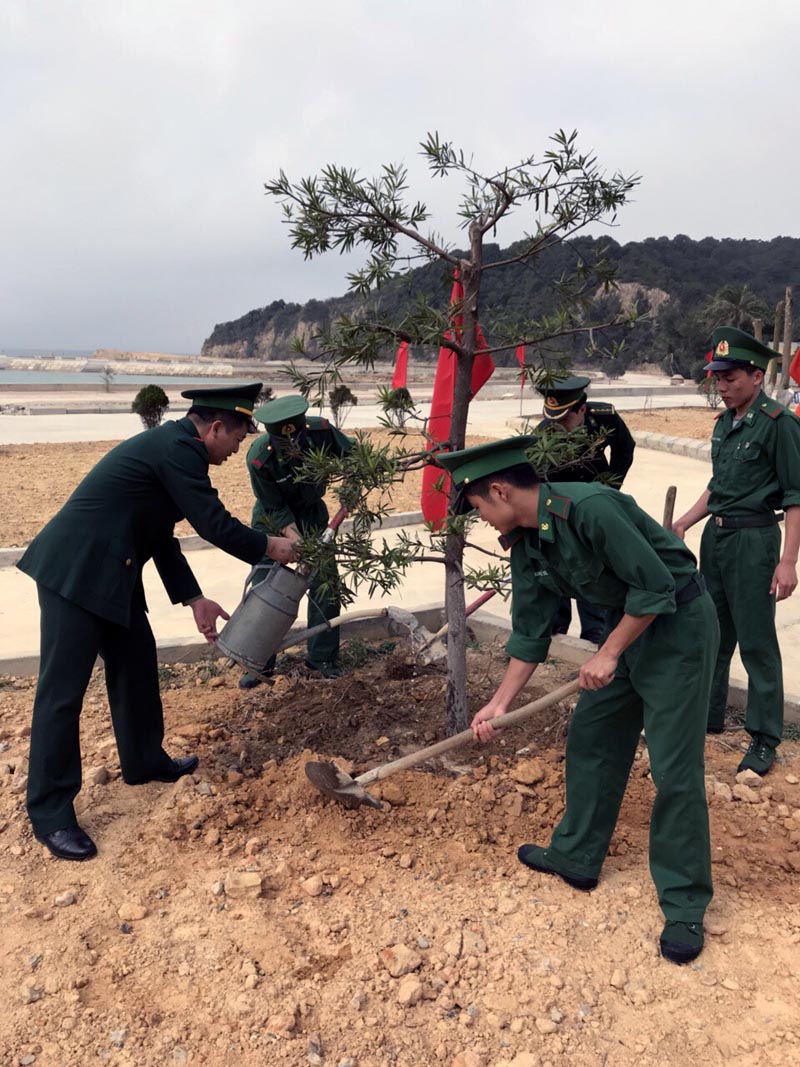Tuổi trẻ Đồn Biên phòng Đảo Trần tổ chức trồng cây chắn sóng trên địa bàn. Ảnh Hữu Chí (Đồn Biên phòng Đảo Trần)