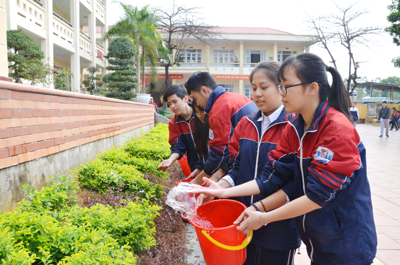 Học sinh trường THPT Vũ Văn Hiếu, TP Hạ Long chăm sóc cây xanh trong khuôn viên trường. Ảnh: Phương Thúy