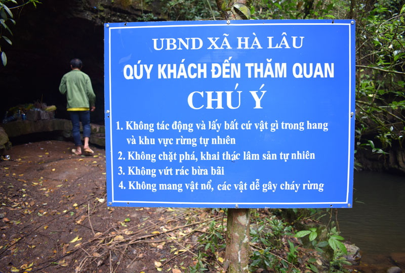 Trước mắt huyện Tiên Yên đã giao cho xã Hà Lâu cắm biển nhắc nhở du khách khi đến hang Rồng