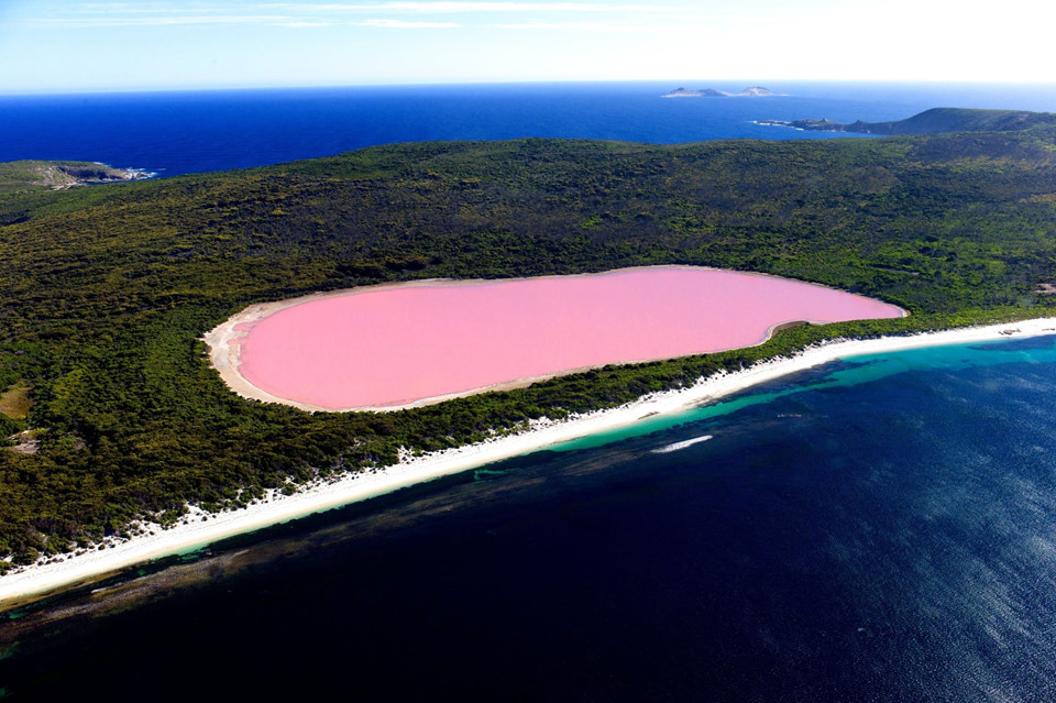 Hiller, Australia: Nằm cạnh Thái Bình Dương, ở phía tây Australia, hồ Hillier trông giống một bức tranh màu hồng gạch. Nằm ở giữa vành đai cát cùng rừng cây bạch đàn, hồ nước dài 600 m này được Matthew Flinders phát hiện vào năm 1802. Đầu thế kỷ XX, hồ nước này là điểm khai thác muối vì có nồng độ muối tương đương biển Chết. Hiện nay, đây là địa điểm du lịch hấp dẫn. Ảnh: BogglingFacts.