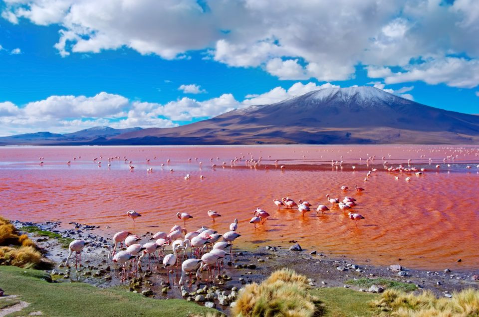 Laguna Colorada, Bolivia: Bầu trời xanh bao la, phía xa là núi Andes, cùng những chú chim hồng hạc trêm mặt hồ Laguna Colorada nằm ở Tây Nam Bolivia là khung cảnh tuyệt đẹp và hấp dẫn. Hồ Laguna Colorada có màu đỏ từ trầm tích và tảo đỏ trong nước. Nằm ở độ cao hơn 4.200 m so với mực nước biển, giữa hồ đỏ có đảo borax và một hồ nước nhỏ màu trắng tạo nên cảnh quan tương phản với màu cam đỏ chủ đạo của hồ. Đây còn là điểm đến của những con chim hồng hạc, trong đó có loài Andean quý hiếm. Ảnh: Easyvoyage.