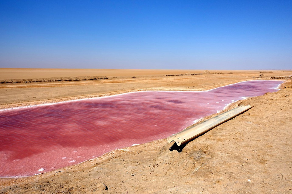 Chott El Djerid, Tunisia: Chottel Djerid là hồ muối lớn nhất ở miền Nam Tunisia, có hình dáng như con sói với chiều dài lên tới 250 km và có nước màu hồng và xanh lá. Bên cạnh đó, hồ nước này là thiên đường cho các nhà địa chất và là một trong những địa điểm quay loạt phim Star Wars. Ảnh: Anothermag.
