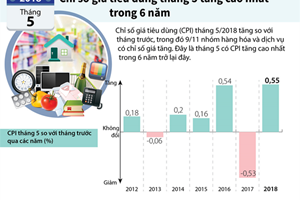 Chỉ số giá tiêu dùng tháng 5 tăng cao trong 6 năm