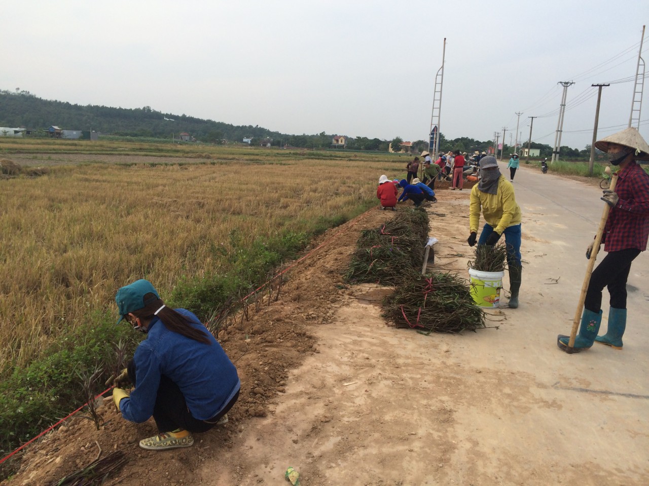 Hội LHPN xã Tràng An tham gia xây dựng tuyến đường hoa ở thôn Thượng 2