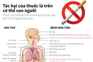 Thuốc lá gây tác hại trên cơ thể con người như thế nào?