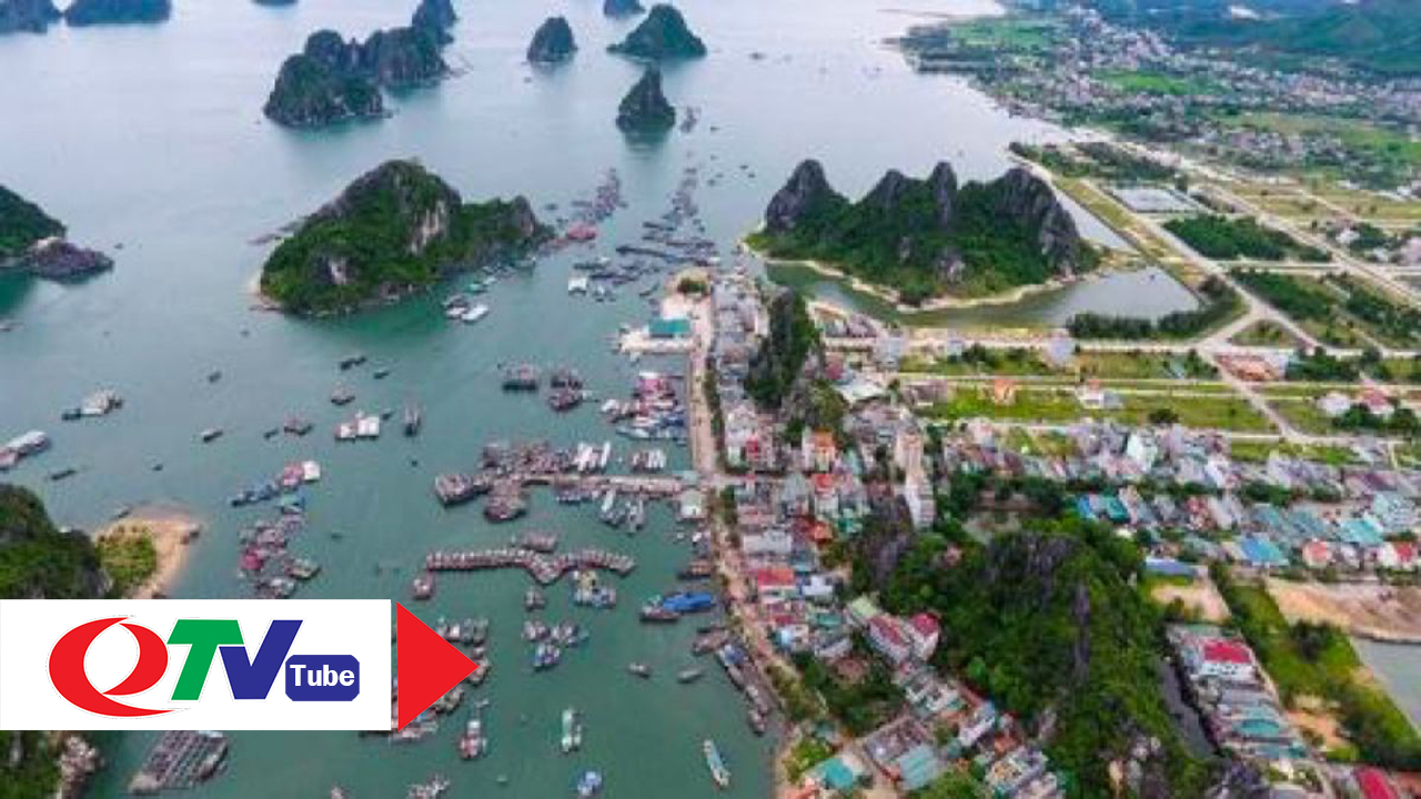 Tạm dừng chuyển mục đích sử dụng đất tại Vân Đồn