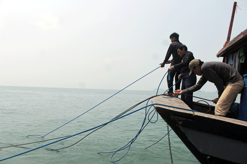 3.	Tàu cá HT 20290 do Bùi Văn Hoan trú tại huyện Kỳ Anh, tỉnh Hà Tĩnh đang sử dụng thiết bị lặn để khai thác thủy sản thì bị lực lượng chức năng của huyện Hải Hà bắt giữ