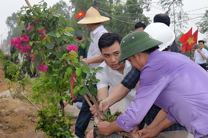 ể tạo cảnh quan đô thị, TP Uông Bí phát động phong trào trồng 1 triệu cây hoa giấy trên địa bàn.