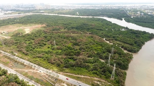 Khu đất hơn 32ha được Công ty Tân Thuận chuyển nhượng không đúng quy định cho Công ty Quốc Cường Gia Lai. (Ảnh: TTXVN phát)