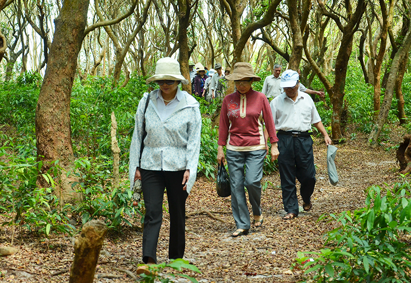Du khách thăm rừng trâm trên xã đảo Minh Châu.