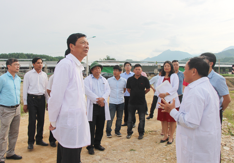 Đồng chí Nguyễn Văn Đọc nghe chủ đầu tư báo cáo dự án