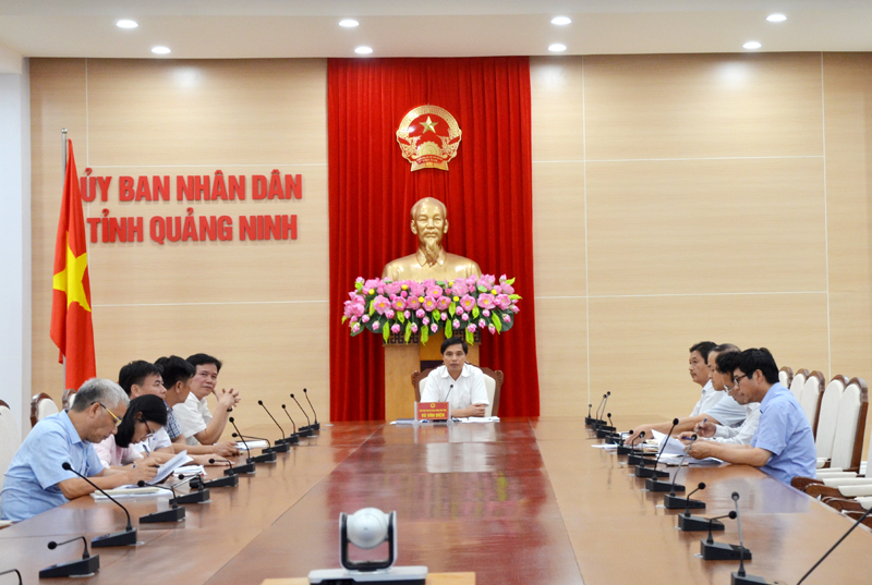 Đồng chí Vũ Văn Diện, Phó Chủ tịch UBND tỉnh kết luận cuộc họp