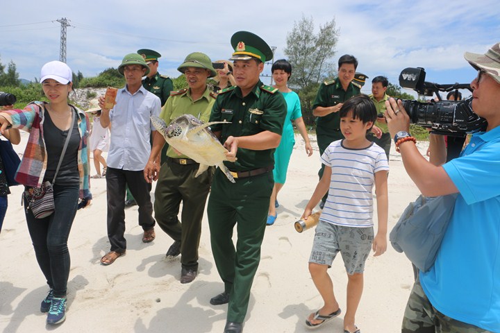 Lực lượng chức năng, người dân và du khách thả rùa biển về với tự nhiên.