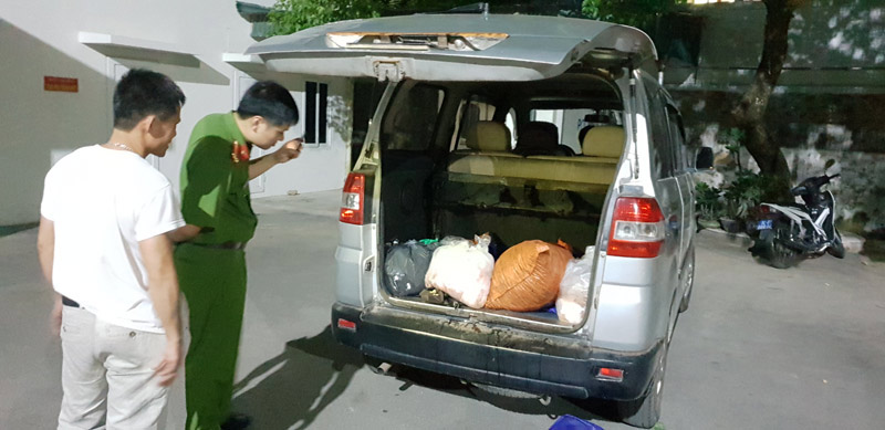 Xe ô tô vận chuyển nội tạng không rõ nguồn gốc được công an huyện Tiên Yên bắt giữ.