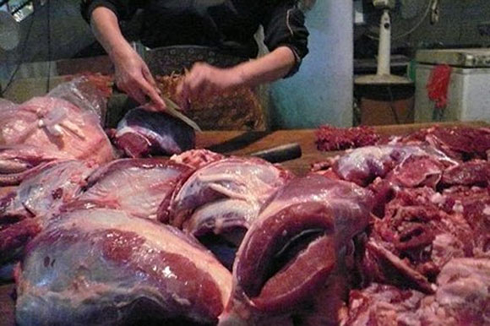 Thịt lợn, lợn con thương phẩm, gia cầm nhập ồ ạt vào tỉnh Lào Cai. (Ảnh minh họa: KT)