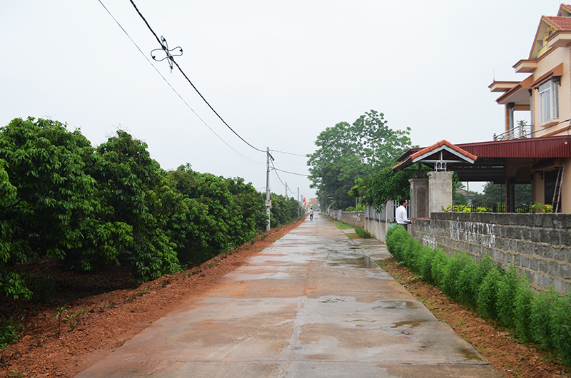Tuyến đường thôn Trại Lốc được bê tông hóa