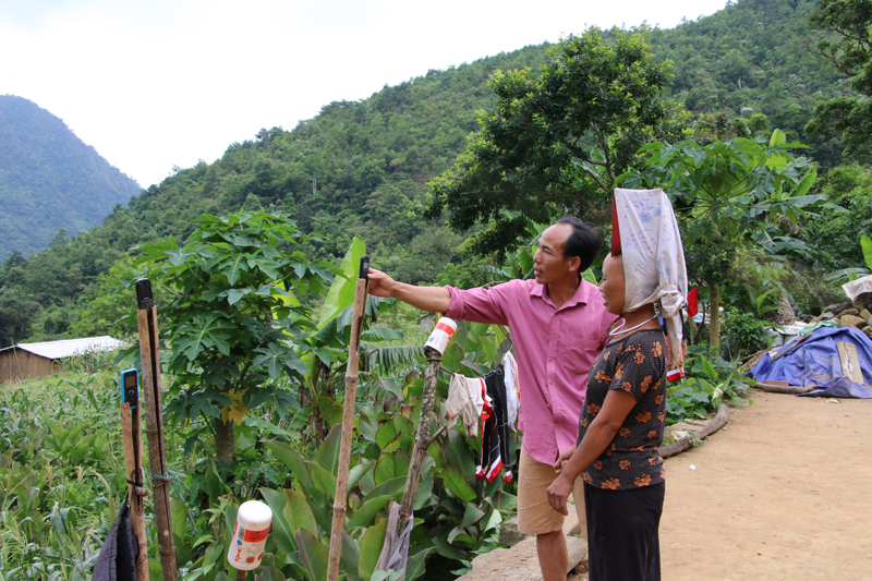 Người dân thôn Sú Cáu, xã Húc Động, huyện Bình Liêu phải cắm nhiều cây tre để treo điện thoại “hứng” sóng di động.
