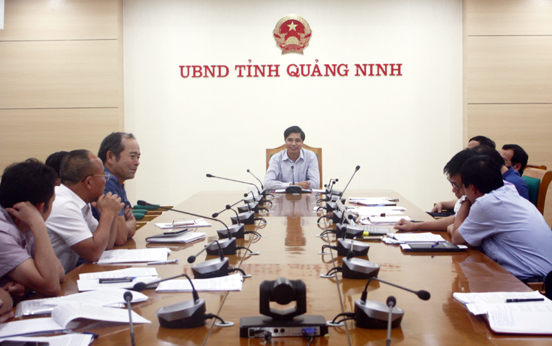 Đồngg chí Vũ Văn Diện, Phó Chủ tịch UBND tỉnh phát biểu tại cuộc họp