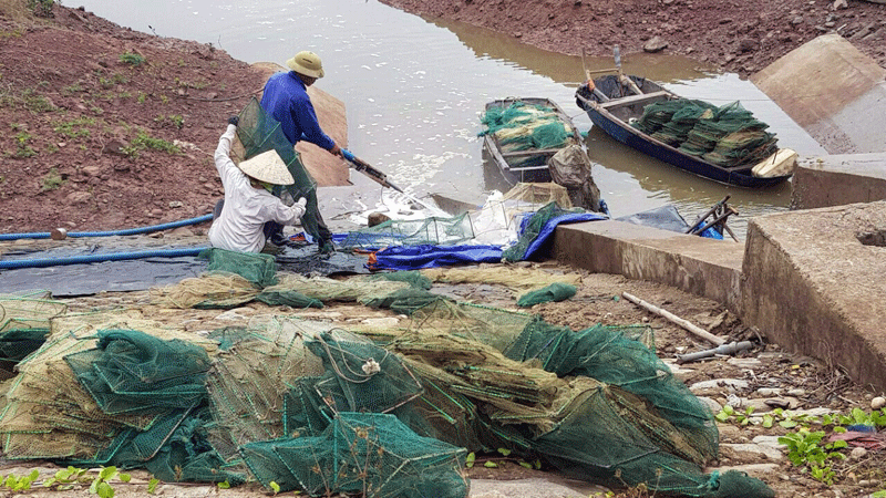 Tình trạng ngư dân sử dụng lờ dây khai thác thủy sản còn khá nhiều tại một số địa phương ven biển trên địa bàn huyện Đầm Hà.