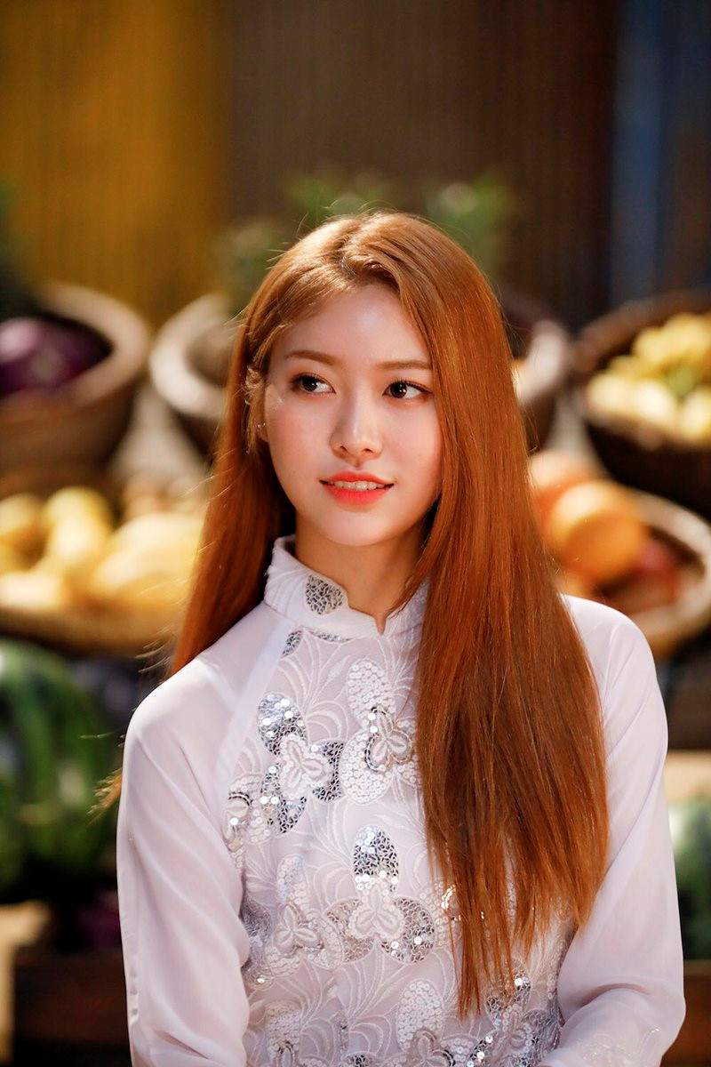 Hình ảnh 3 thành viên Yeonwoo, Jane và Daisy xinh đẹp, dịu dàng trong tà áo dài khiến nhiều fan Việt thích thú. Việc nhóm chọn lựa trang phục này khiến không ít người hâm mộ hy vọng Momoland sẽ tới Việt Nam trong thời gian tới.