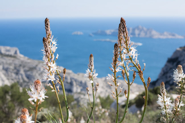 Vườn quốc gia Calanques, Pháp: Khu bảo tồn này gây ấn tượng với những vách núi đá vôi tuyệt đẹp và các tuyến đường đi bộ khám phá ở tây nam thành phố Marseille.